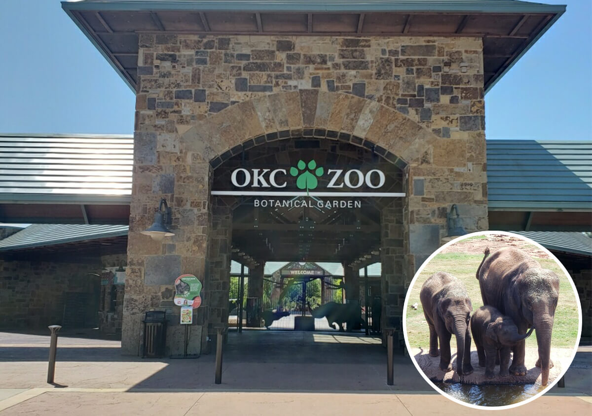 Stonegate Center Blog - Top 10 Sober Things to Do in Oklahoma - OKC Zoo