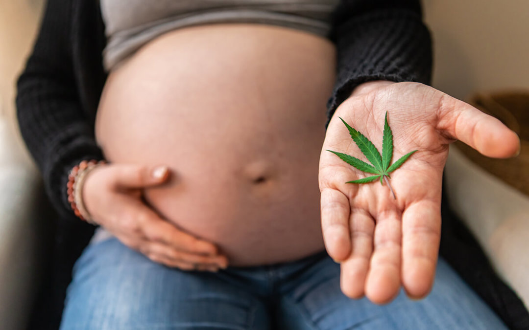 Stonegate Center Blog - Pregnant Cannabis Users