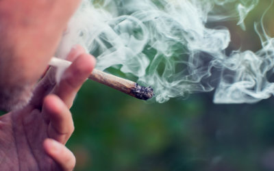 Everything You Need to Know About Marijuana Abuse & Drug Testing