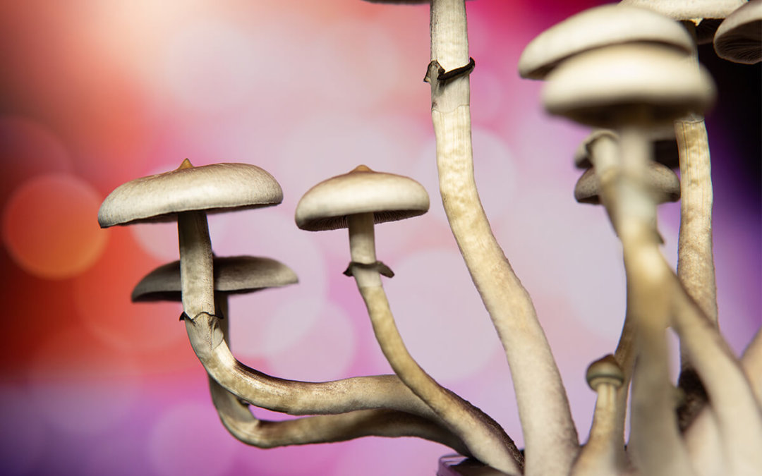 Stonegate Center Blog - Psychedelics to Treat Chronic Pain & Eating Disorders